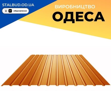 Профнастил ПС-12 - Китай 0,45 РЕMA